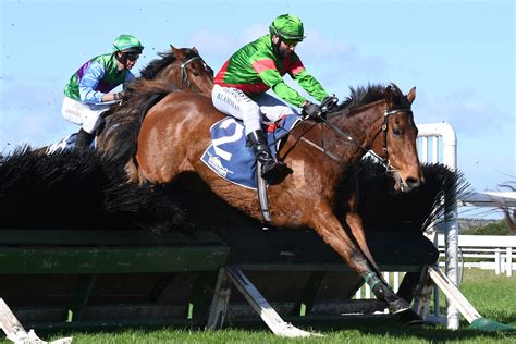 new zealand race results|New to Racing .